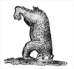 A bear standing on his head, 14th century, (1833). Artist: Unknown