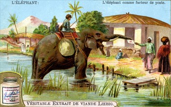 The Elephant as postman, c1900. Artist: Unknown