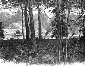 View in Claremont Park, Surrey, 1900. Artist: Unknown