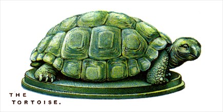 The Tortoise, 1923. Artist: Unknown