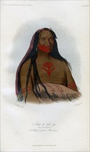 'Mah-to-toh-pa, (The Four Bears), 2nd Chief of the Mandans', 1848.Artist: Harris