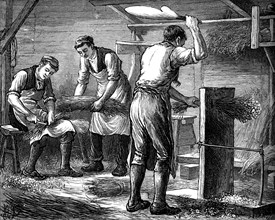 Hand-scutchers at work, c1880. Artist: Unknown