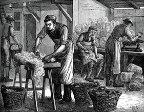 Wool sorters, c1880. Artist: Unknown