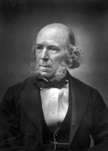Herbert Spencer (1820-1903), late 19th century. Artist: Unknown
