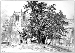 Snitterfield church, Snitterfield, Warwickshire, 1885.Artist: Edward Hull