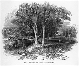 Pray Bridge in Fridley Meadows, Surrey, 19th century. Artist: Unknown