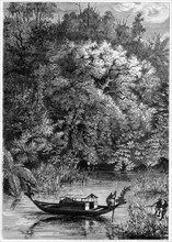 View on the Dodinga River, New Guinea, 1877. Artist: Unknown