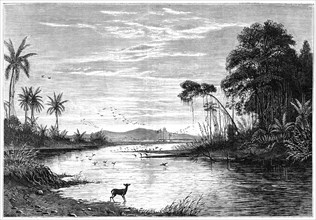 A river scene in Venezuela, 1877. Artist: Unknown
