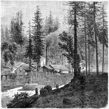 'Sawmill', California, 19th century.Artist: Theroud