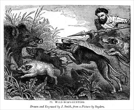 Wild boar hunting, c1600-1650 (1843).  Creator: J Smith.