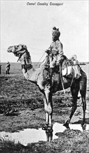 Camel cavalry transport, India, 20th century. Artist: Unknown