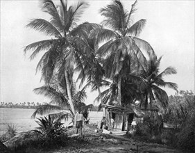 On the road to Blue Hole, Port Antonio, Jamaica, c1905.Artist: Adolphe Duperly & Son