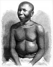 Man from the Andaman Islands, 19th century. Artist: G Fath
