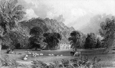 Burford Lodge, near Box Hill, Surrey, 19th century.Artist: Thomas Abiel Prior