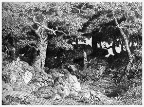 'Les Chenes de Roche', c1832- 1860, (1924). Artist: Theodore Rousseau