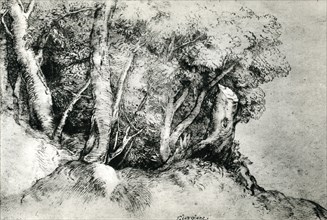 'Forest Landscape', c1516-1518, (1937). Artist: Titian