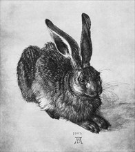 'Hare', 1502, (1936). Artist: Albrecht Dürer