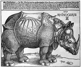 'Rhinoceros', print given to Maximilian I by the King of Lisbon, 1515, (1936). Artist: Albrecht Dürer