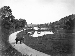 Kandy Lake, Kandy, Sri Lanka, c1910s. Artist: Unknown