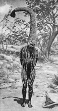 An emu man performing the sacred totem of his group, Australia, 1922.Artist: Spencer and Gillen