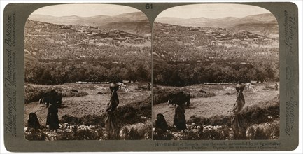 The Hill of Samaria, from the south, surrounded by its fig and olive groves, Palestine, 1900.Artist: Underwood & Underwood