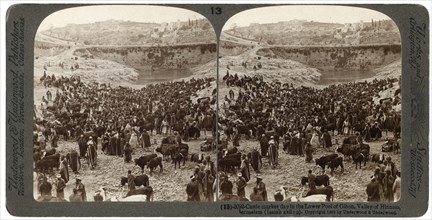 Cattle market day, in the lower pool of Gihon, Valley of Hinnom, Jerusalem, Palestine, 1900.Artist: Underwood & Underwood