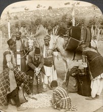 Experts purchasing silk cocoons, for export to France, Antioch, Syria, 1900s.Artist: Underwood & Underwood