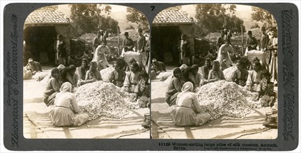 Women sorting large piles of silk cocoons, Antioch, Syria, 1900s.Artist: Underwood & Underwood