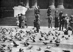 Pigeons in Trafalgar Square, London, 1926-1927. Artist: Unknown