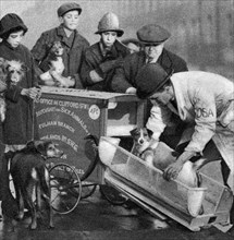 Ambulance of the Dispensary for Sick Animals of the Poor, London, 1926-1927. Artist: Unknown