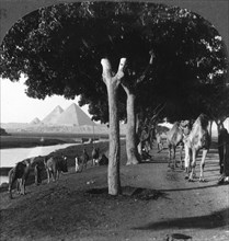 The road to the pyramids, Giza, Egypt, 1905.Artist: Underwood & Underwood