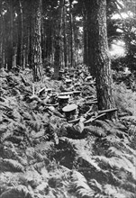 British infantry in a wood, First World War, 1914-1918, (c1920). Artist: Unknown