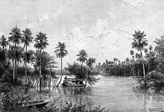 Las Palmes Lagunas, near the mouth of the Pilcomayo, 1895. Artist: Unknown