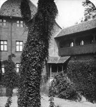 Lime tree in a courtyard, Nuremberg, Bavaria, Germany, c1900s.Artist: Wurthle & Sons