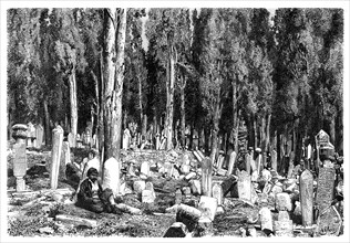 Cypress trees in the cemetery of Scutari, Turkey, 1895. Artist: Unknown