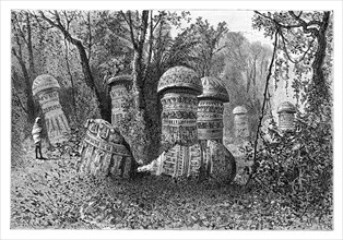 Ruins of an Ahom temple, Dinajpur, Upper Assam, India, 1895.Artist: Armand Kohl