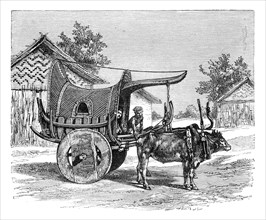 A Burmese wagon, Burma (Myanmar), 1895. Artist: Unknown