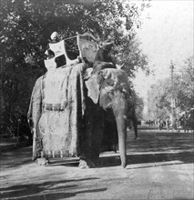 An elephant outside the railway station at Delhi, India, 1900s.Artist: H Hands & Son