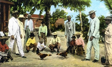 A cock fight, Puerto Rico, 1909. Artist: Unknown