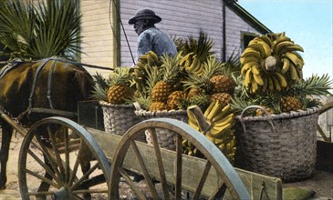 A fruit trader, Taboga Island, Panama, early 20th century. Artist: Unknown