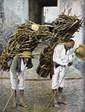 Two men carrying bundles of wood on their backs, Mexico, early 20th century. Artist: Unknown