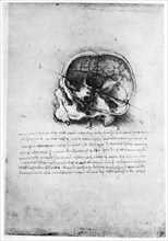 Study of a human skull, late 15th or early 16th century (1954).Artist: Leonardo da Vinci