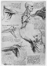 Study of shoulder joints, 1510-1511 (1954). Artist: Leonardo da Vinci