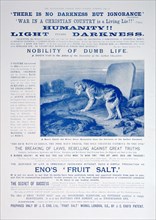 Eno's Fruit Salt advertisement, 1899. Artist: Unknown
