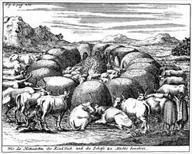 Guarding sheep and cattle at night, South Africa, 18th century (1931). Artist: Unknown