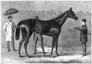 'Spinaway', winner of the Oaks, 1875. Artist: Crane