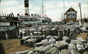 Cotton wharves, New Orleans, Louisiana, USA, early 20th century. Artist: Unknown