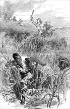 A slave hunt, USA, mid 19th century (c1880). Artist: Unknown