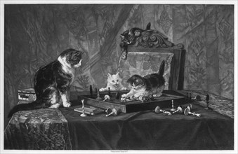 Cats playing with a chessboard.Artist: Goupil and Co