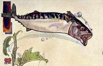 'Mackerel', 1900. Artist: Unknown